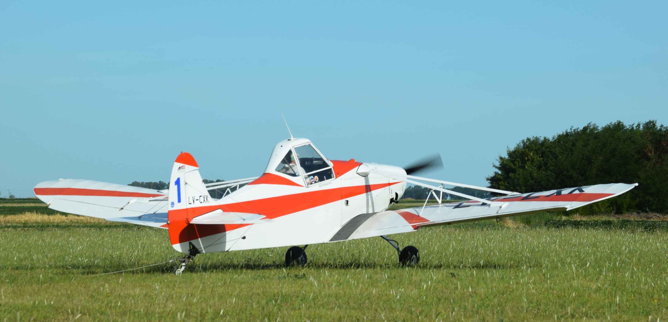 imagen del pa25 de la Asociación Aeronáutica Azul